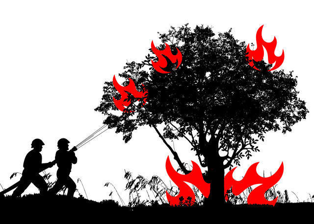 Hintergrund