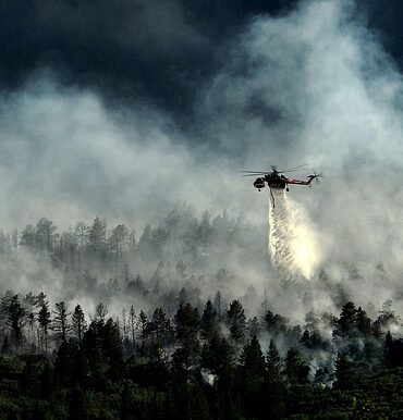 Großbrand im Hürtgenwald: Einsatzkräfte kämpfen gegen die Flammen