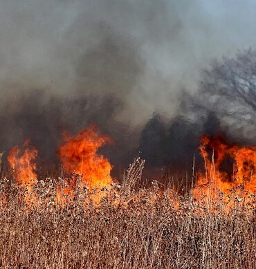 Großbrände in NRW: Feuerwehr kämpft gegen Flammenmeer