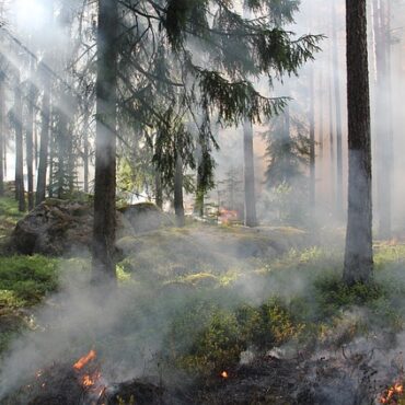 Großbrand in Hürtgenwald: Evakuierungen und massiver Feuerwehreinsatz
