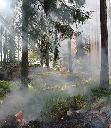 Großbrand in Hürtgenwald: Evakuierungen und massiver Feuerwehreinsatz