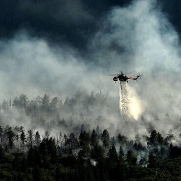 Waldbrand im Hohen Venn: Feuer rückt auf Monschau vor