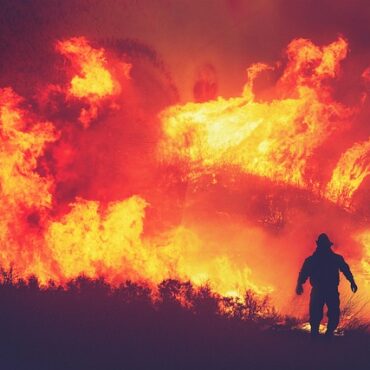 Waldbrände in der Eifel: Leichte Entspannung durch Wetterumschwung